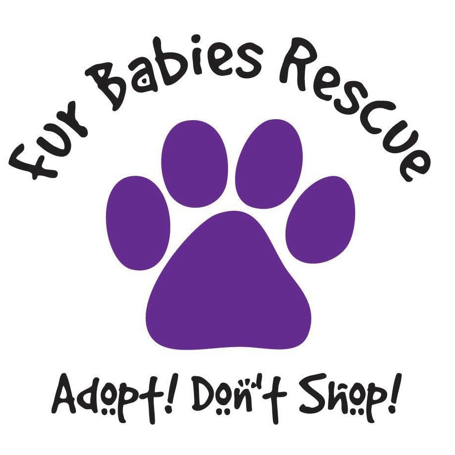 Fur Babies Best4Pets