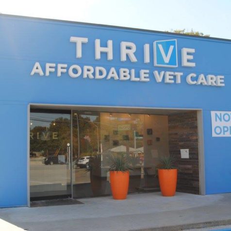 Thrive affordable vet hot sale care near me