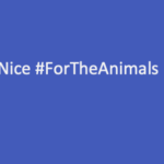 Be Nice #ForTheAnimals